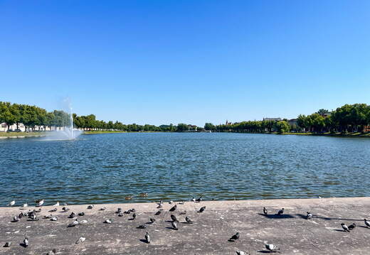 24-06-26 10-04-05 9907